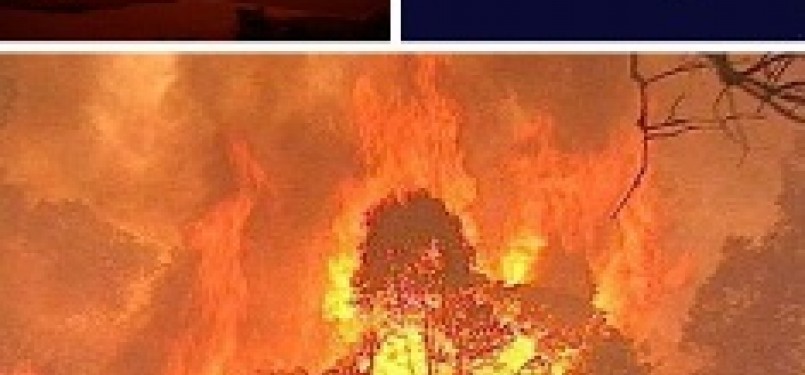 Kebakaran hutan di Australia (ilustrasi)