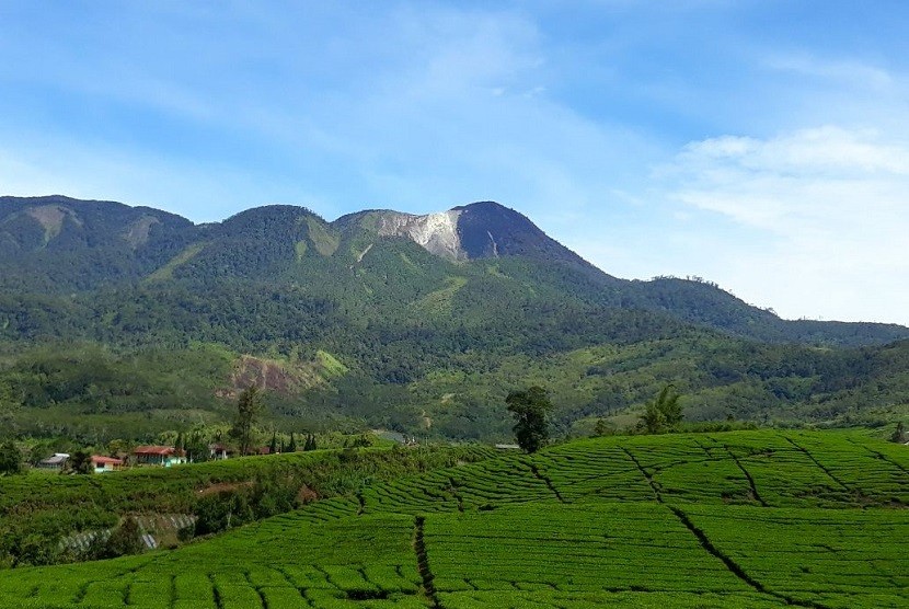 Hutan di lereng Gunung Talang yang terletak di Solok, Sumatra Barat. Konflik satwa dengan manusia juga meningkat seiring dengan berkurangnya luasan hutan alam di Sumatra Barat.