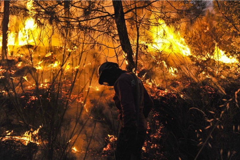 Kebakaran hutan (ilustrasi). Kemunculan wabah penyakit baru tak lepas dari makin berkurangnya luas hutan di dunia.