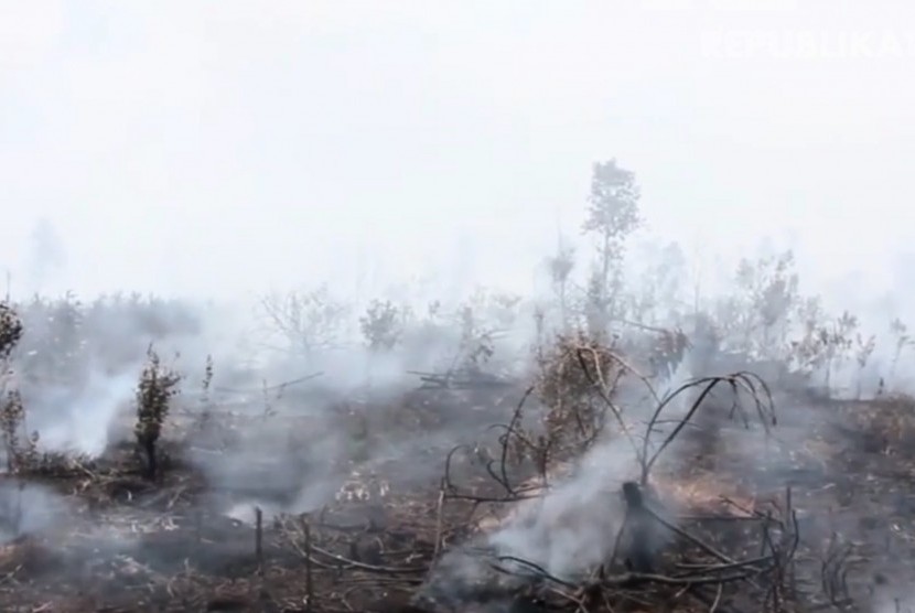 Kebakaran hutan (Ilustrasi)