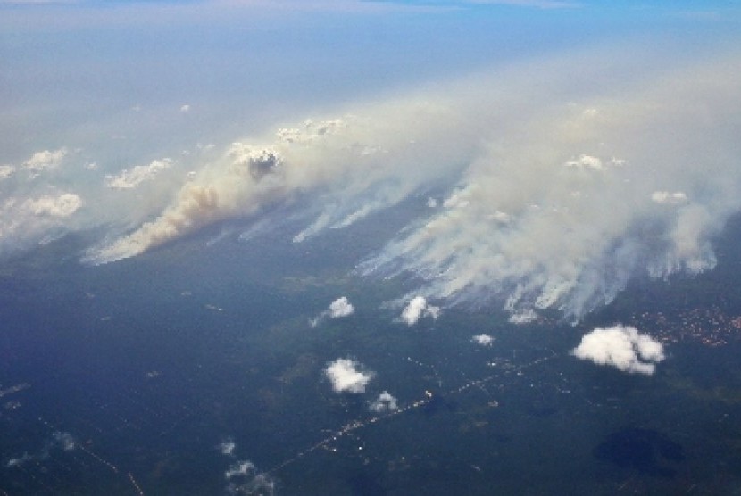 Kebakaran hutan Riau (ilustrasi)