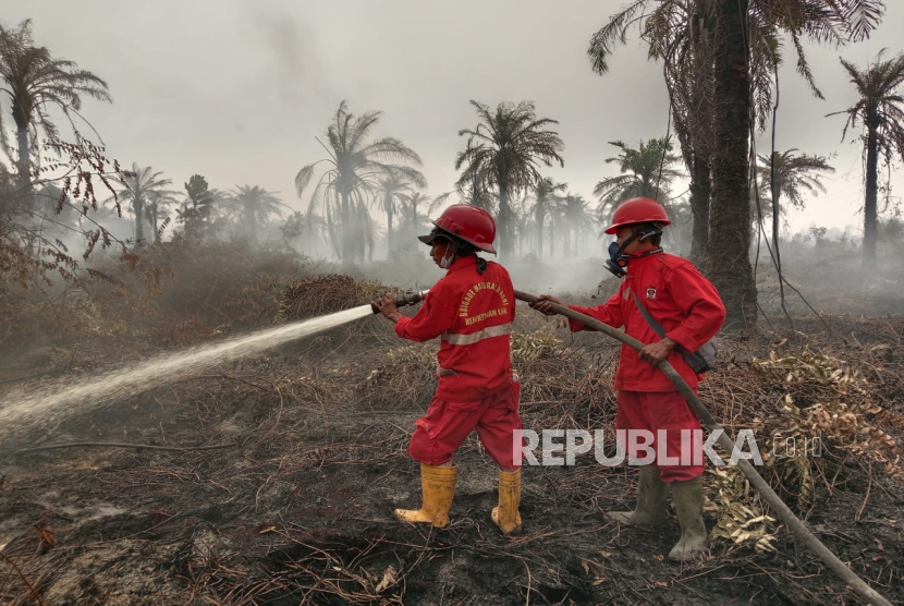 Kebakaran lahan di Riau.