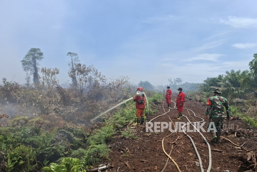 Kebakaran lahan gambut di Aceh Selatan yang berdekatan dengan Taman Nasional Gunung Leuser.