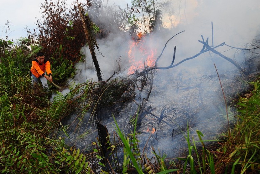 Lahan Dan Hutan Terbakar Di Riau Capai Hektare Republika Online