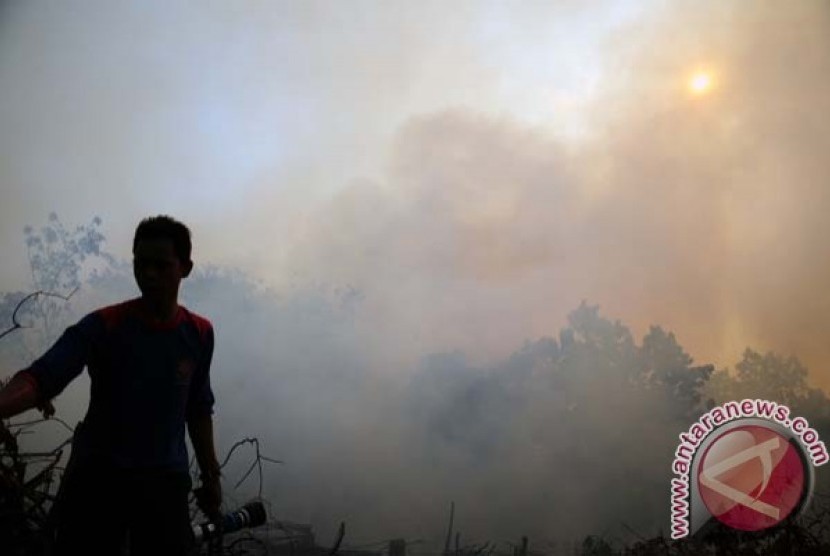 Kebakaran lahan penyebab kabut asap di Pekanbaru