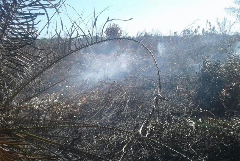 Kebakaran lahan terjadi di atas 20 hektare lahan milik PT A di Pasaman Barat, Sumbar, Senin (7/8). BPBD dan Dinas PU Sumbar mengerahkan dua alat berat untuk membuat kanal air sebagai upaya pemadaman.