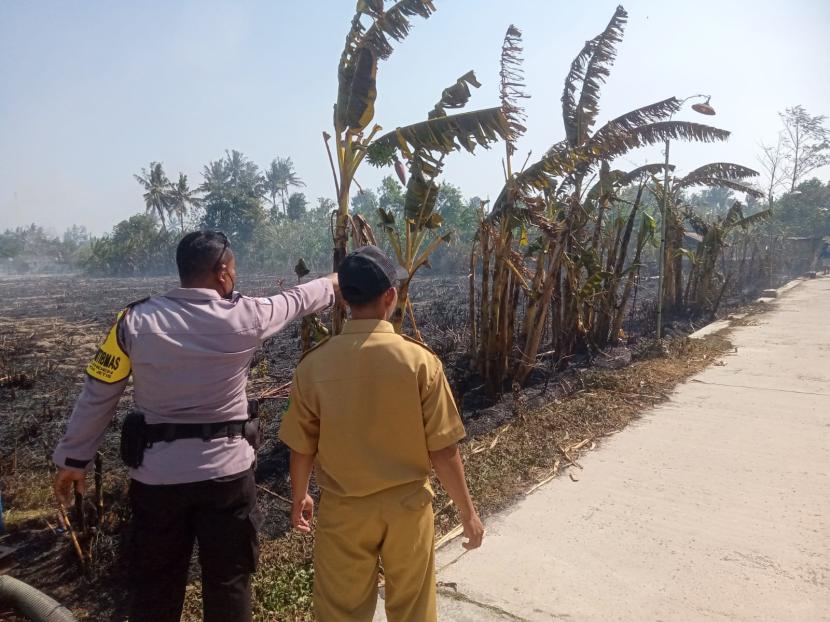 Kebakaran melanda sawah tebu di Desa Canden Bantul, DIY.