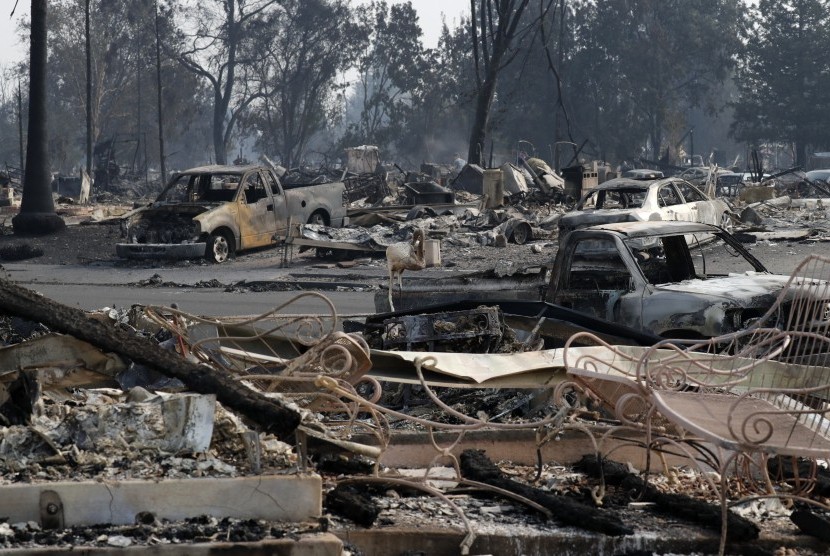 Kebakaran mengakibatkan rumah dan kendaraan habis dilalap di kawasan Santa Rossa, California (10/10).