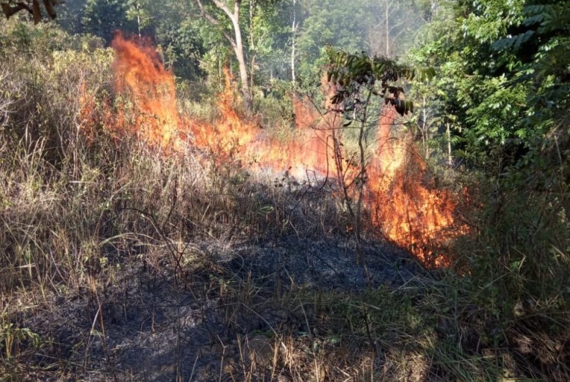 Kebakaran terjadi di lahan milik Perhutani, Kelurahan Urug, Kecamatan Kawalu, Kota Tasikmalaya, Kamis (7/11). 