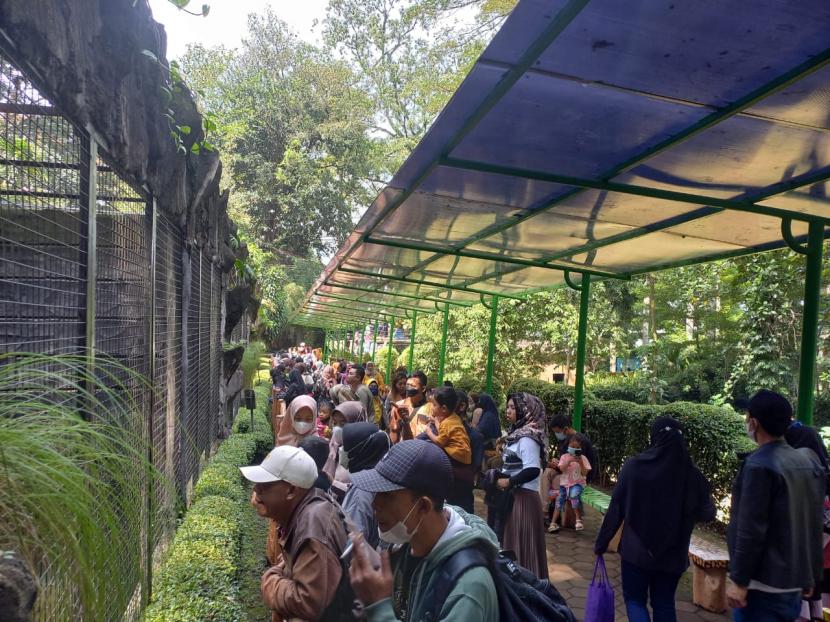 Kebun Binatang Bandung dipadati oleh wisatawan. Pengunjung sudah diperbolehkan masuk Kebun Binatang Bandung tanpa masker.