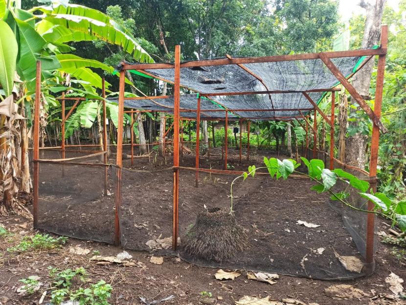Kebun gizi tematik yang disiapkan oleh Rumah Zakat akan berfokus untuk menanam sayur atau buah yang cocok dikonsumsi bagi lansia yang mengalami hipertensi.