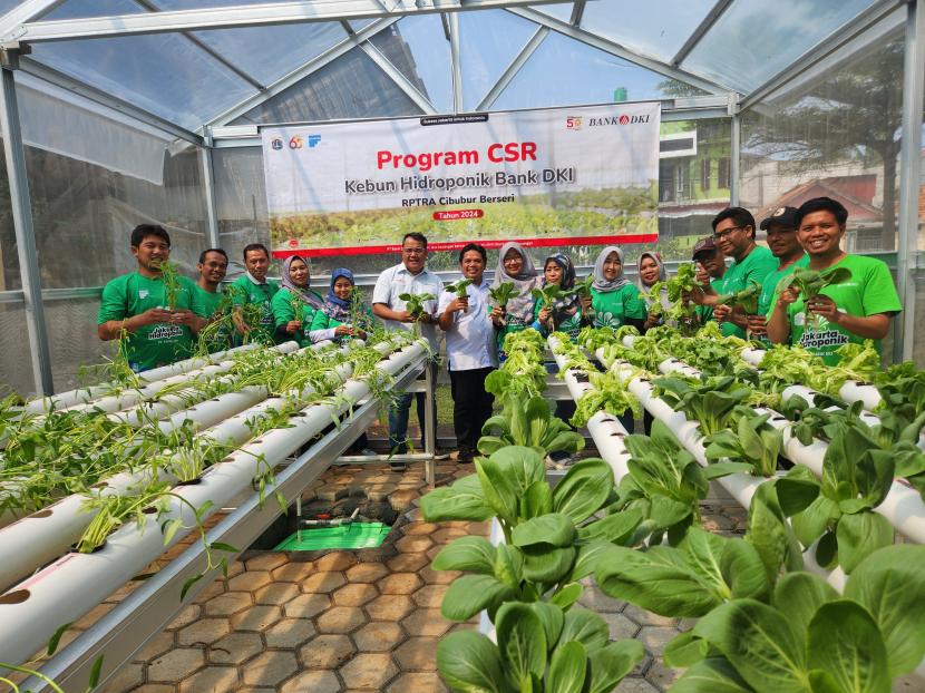 Kebun hidroponik Bank DKI di RPTRA Cibubur.