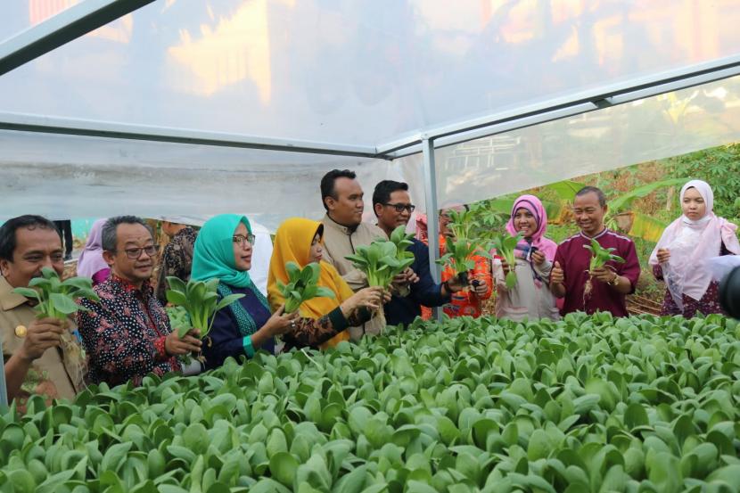 Kebun hidroponik Fakultas Pertanian Universitas Muhammadiyah Jakarta (UMJ) yang telah diresmikan pada Senin (23/05), Prof Dr KH Abdul Mu’ti, M Ed, direncanakan akan mulai produksi pertama jenis bayam sesuai dengan permintaan dari mitra.
