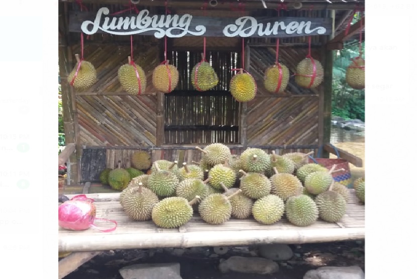 Kebun koleksi durian yang dinamai Likin Durian Agrotourism, atau dikenal dengan Durian Garden Likin tersebut didesain sebagai tempat khusus untuk menikmati durian, dengan nuansa yang lebih alami. 