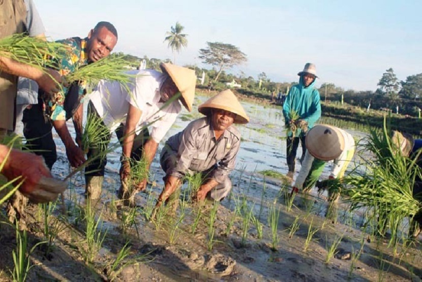 Keerom merupakan kabupaten di Provinsi Papua yang berada di ujung timur Indonesia, berbatasan langsung dengan Papua Nugini (PNG). Ke depan, Keerom berpeluang ekspor komoditas pertanian ke PNG karena lokasinya sangat strategis.