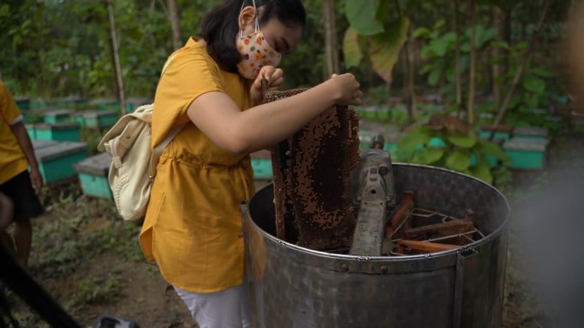 Kegiatan Bee Farm Tour ini dilakukan pada bulan April di salah satu peternakan lebah binaan Madurasa yang berlokasi di Sragen, dan pabrik Madurasa di Wonogiri, Jawa Tengah.