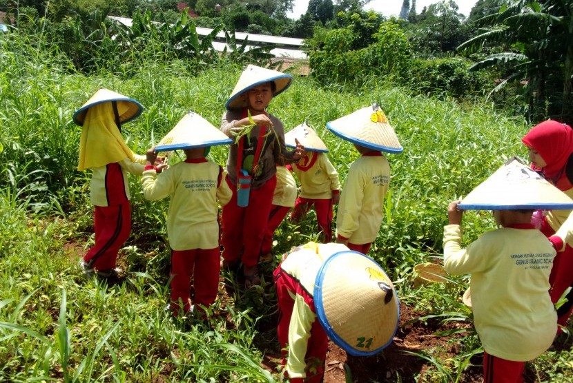 Kegiatan Berkebun 'TK Ramah Anak'