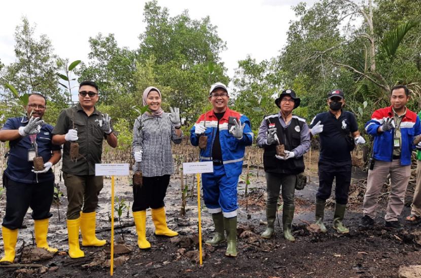 Kegiatan CSR penanaman bibit bakau PT Kilang Minyak Pertamina Internasional unit II Sei Pakning di Desa Pangkalan Jambi, Bukit Batu, Bengkalis, Riau, berhasil memulihkan wilayah desa yang terkena abrasi. 