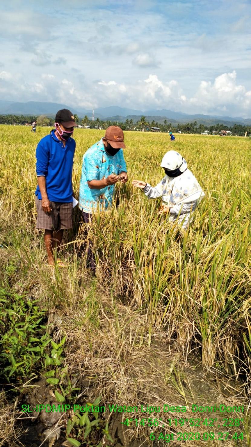 Kegiatan Integrated Participatory Development and Management of Irrigation Project (IPDMIP) digelar di Kabupaten Soppeng, Sulawesi Selatan. 