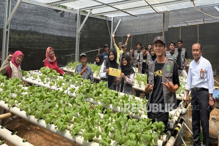 Kegiatan mahasiswa KKN-PMM  2025 Universitas AKPRIND Indonesia dalam melakukan perluasan lahan penanaman tanaman hidroponik di UKM Taruna Tani Kalurahan Terong Kapanewon Dlingo Kabupaten Bantul Daerah Istimewa Yogyakarta.