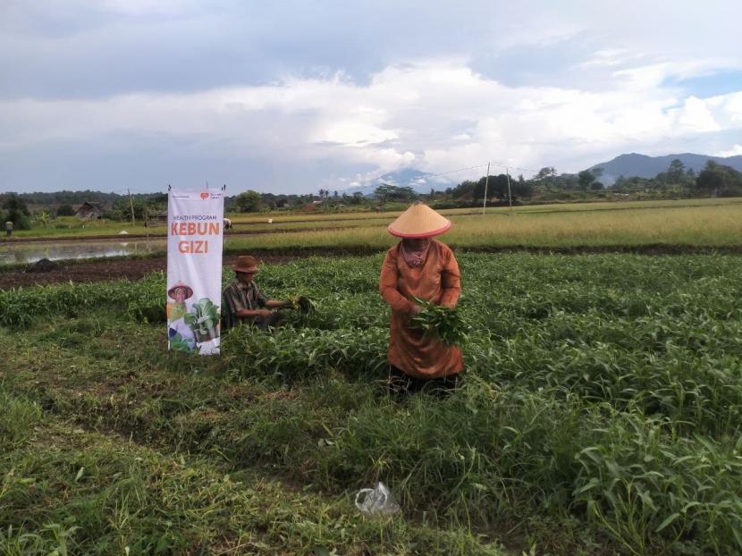 kegiatan Pemberdayaan yang dilakukan Relawan Rumah Zakat di Desa Berdaya Sukadalem Kecamatan Waringinkurung Kabupaten Serang Banten salah satunya adalah pemanfaatan lahan menjadi kebun produktif bersama kelompok tani.