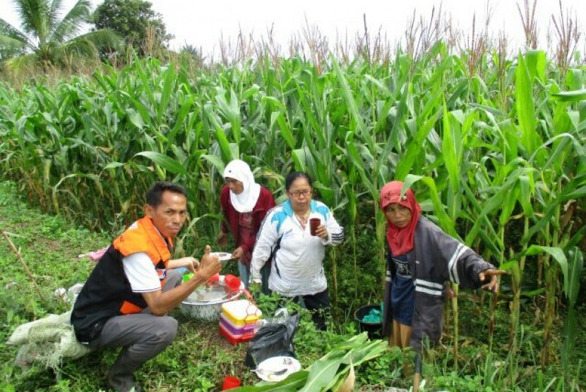 Polisi menunjukkan hasil temuan kayu ulin ilegal di Sampit, Kalimantan Timur. (Ilustrasi)