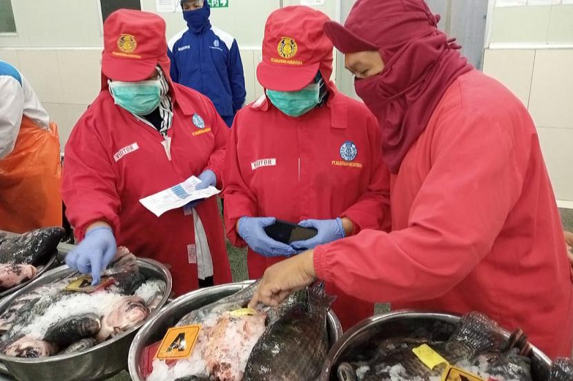 BKIPM Semarang Bagikan 500 Paket Ikan Sehat Bermutu (ilustrasi)