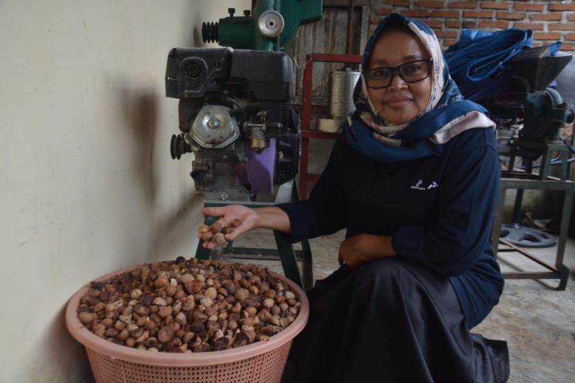 Kegiatan seorang ibh dalam program Perempuan Lestarikan Alam Melalui Konservasi Pinang. 