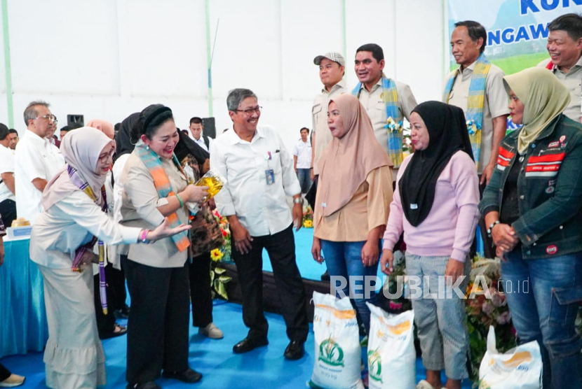Jaga Stabilitas Pakan Peternak Layer, Bapanas Siapkan Tambahan Stok 42 Ribu Ton SPHP Jagung