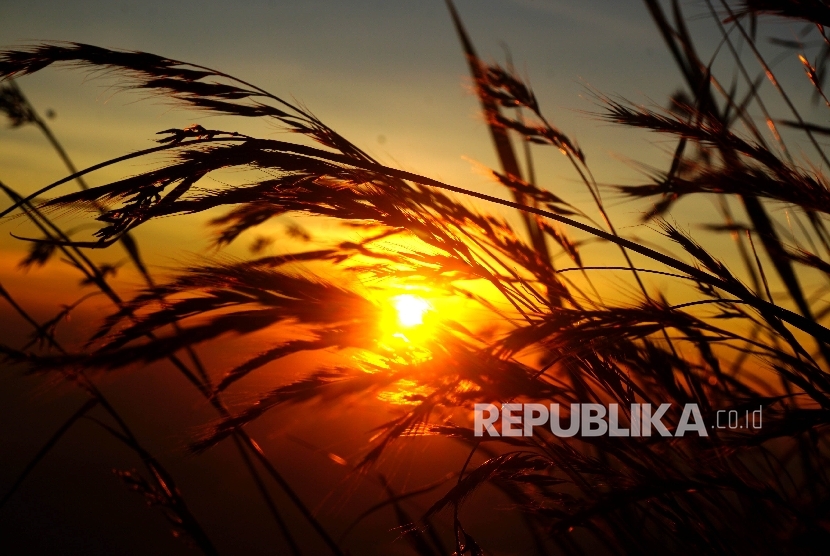 Keindahan matahari terbit dari Sendang Drajat kawasan Puncak Gunung Lawu, Perbatasan Jawa Tengah dan Jawa Timur, Jumat (19/8).