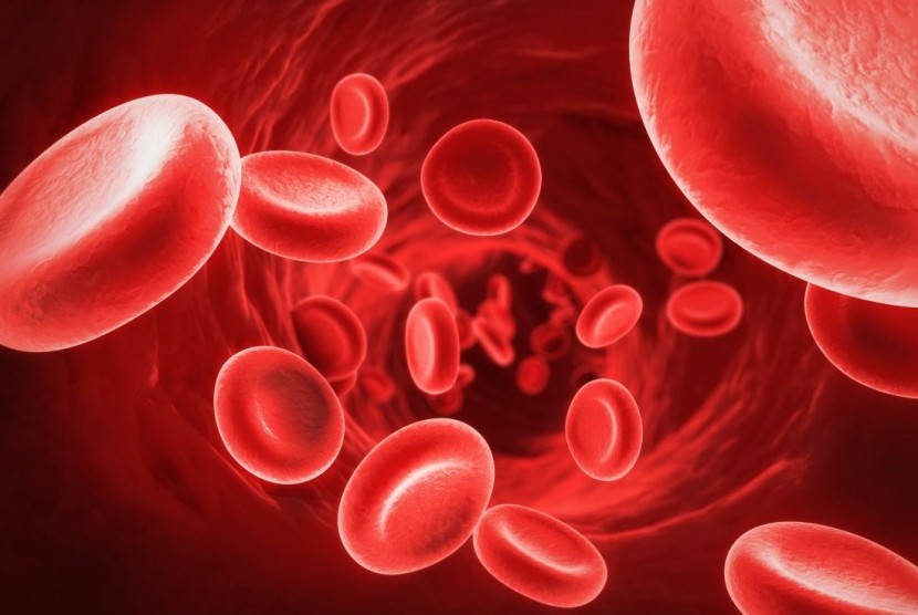 Kekurangan zat besi bisa menyebabkan tubuh mengalami anemia.