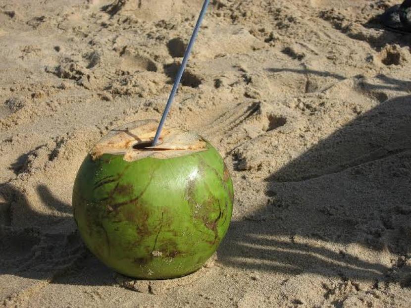 Kelapa (ilustrasi). Potongan kelapa sepanjang sembilan sentimeter ditemukan tersangkut di dubur pria di Taiwan.