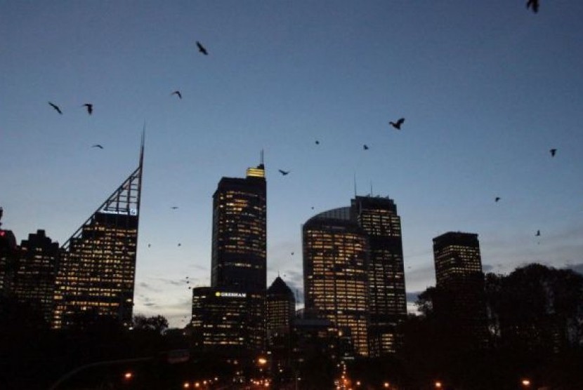 Kelelawar bermigrasi dari satu tempat di Sydney ke tempat lainnya pada malam hari.