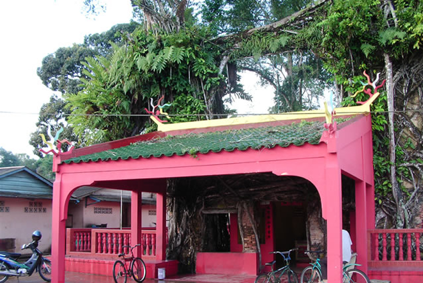 Kelenteng Beringin (Tree Temple) di Tanjungpinang, Bintan, Kepri