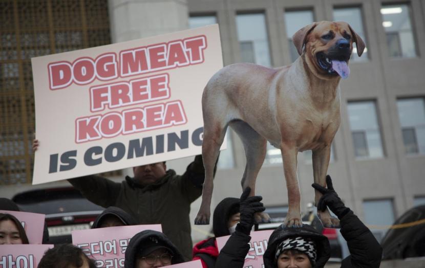 Kelompok aktivis mengangkat poster saat acara pengesahan undang-undang yang melarang perdagangan daging anjing, di Majelis Nasional di Soeul, Korea Selatan, 9 Januari 2024.