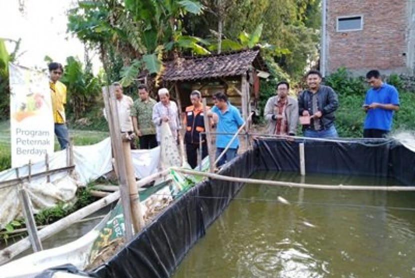 Kelompok binaan Rumah Zakat di Desa Tamanharjo, Kecamatan Singosari, Kabupaten Malang, melakukan panen perdana lele.