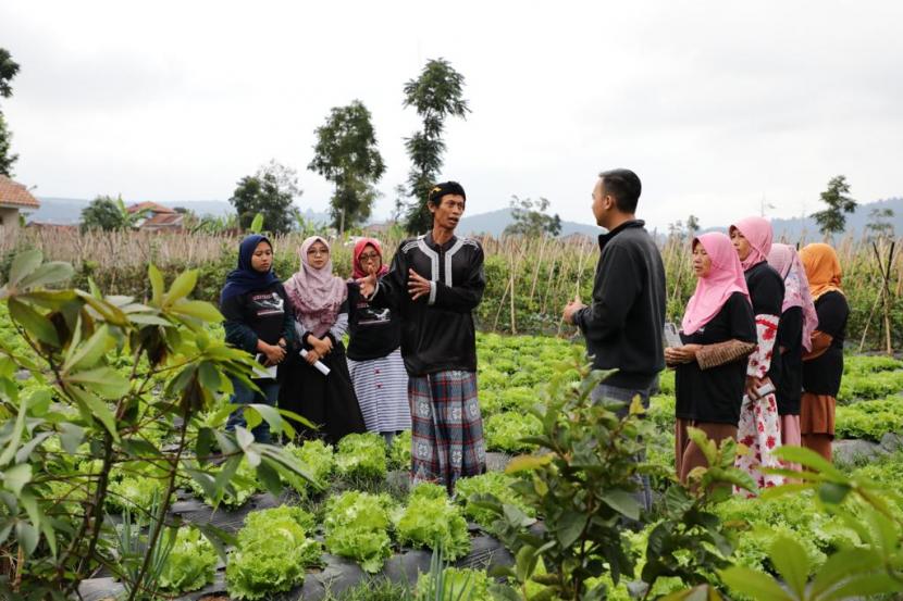 Kelompok relawan muda memborong hasil tanaman berupa sayur dari petani yang ada di Kampung Cikareumbi, Desa Cikidang, Kecamatan Lembang, Kabupaten Bandung Barat, Jawa Barat. Selanjutnya, sayur yang dibeli dari petani dijajakan dalam bazar sayuran untuk masyarakat desa setempat.
