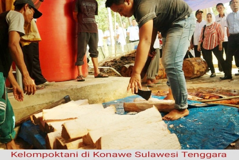Kelompok Tani di Konawe Sulawesi Tenggara sedang mengolah sagu sebagai bahan baku tepung sagu (Foto: Humas BKP)