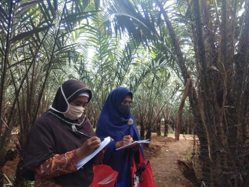 Kelompok Tani Ngudi Slamet binaan Rumah Zakat mendapatkan pelatihan Penerapan PHT (Pengendalian Hama Terpadu) Salak yang diselenggarakan oleh Dinas Pertanian dan Perkebunan Jawa Tengah.