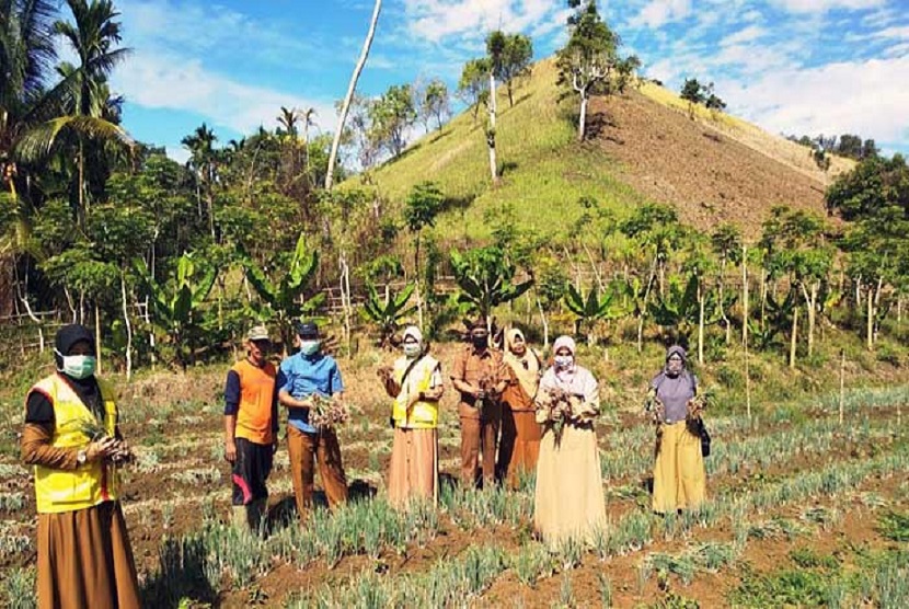 Kelompok tani (Poktan) Udep Beusaree layak menyandang sebutan pionir budidaya bawang merah di Kota Lhokseumawe, yang berupaya mencapai mandiri pangan khususnya bawang merah tanpa harus membeli dari luar Provinsi Aceh.