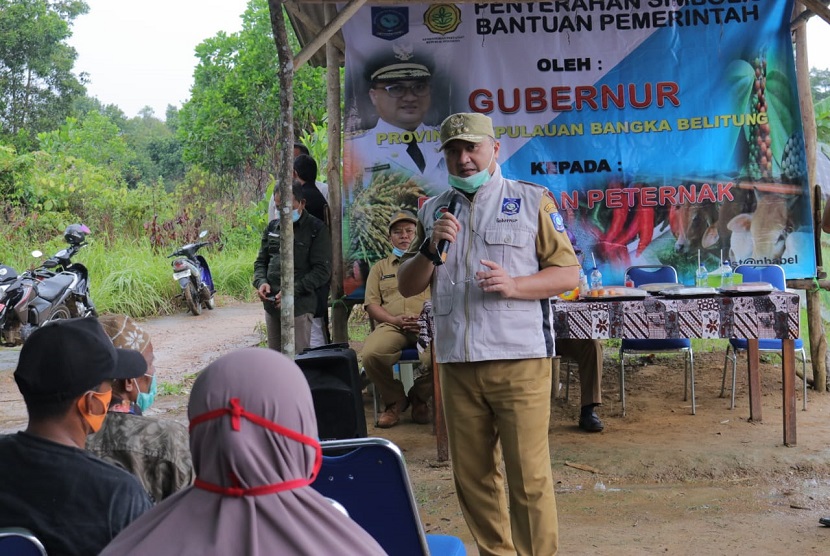 Kelompok tani se-Kecamatan Pangkalan Baru, Kabupaten Bangka Tengah (Bateng) menerima bantuan bibit bawang merah dari Pemerintah Provinsi (Pemprov) Kepulauan Bangka Belitung (Babel)