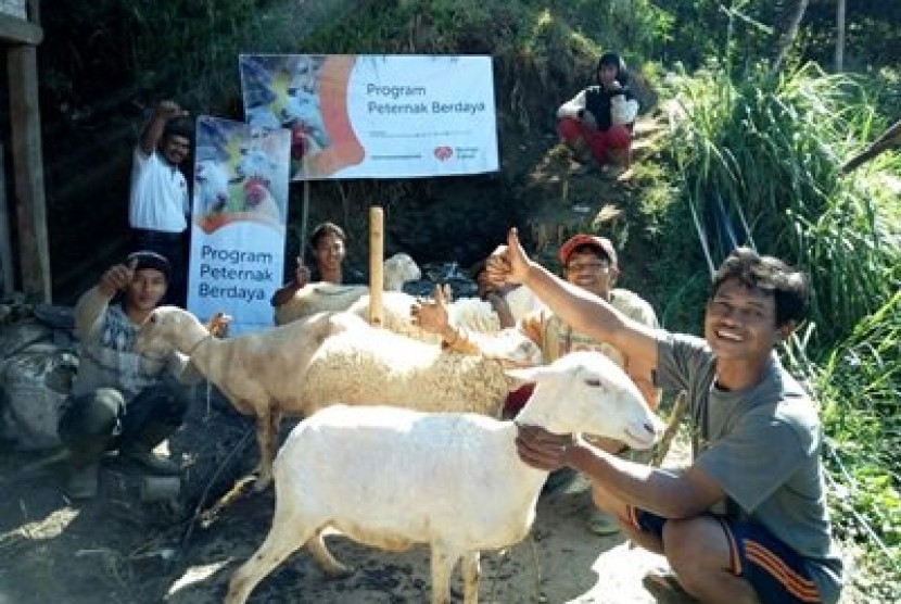 Kelompok Tani yang beralamat di Kampung Cilintung, Desa Situgede Kecamatan Karangpawitan Kabupaten Garut ini terpilih untuk menjadi Kelompok Binaan dalam Program Peternak Berdaya.