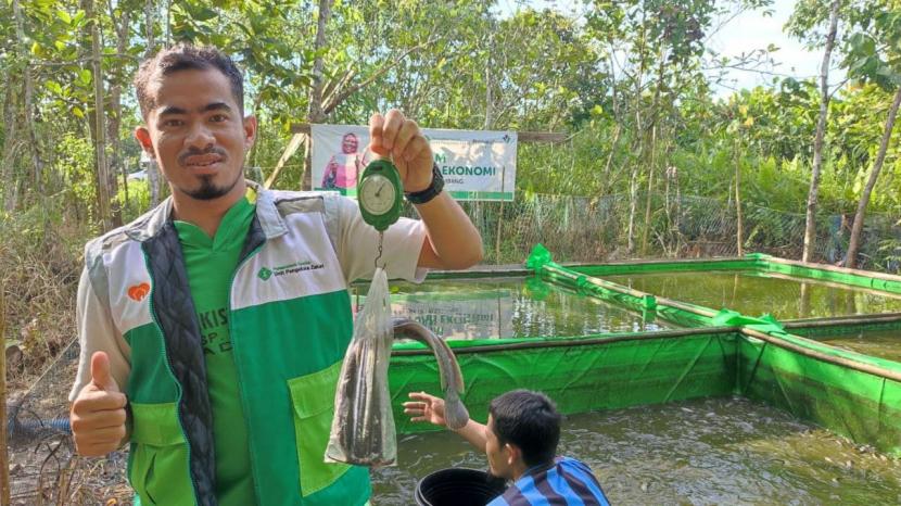 Kelompok Ternak Lele Sejahtera Bersama binaan UPZ PermataBankSyariah melakukan panen ternak ikan lele yang berada di Dusun Kembayat, Desa Tri Kembang pada bulan Desember ini.