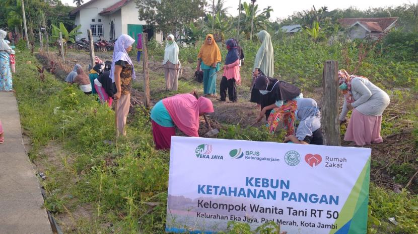 Kelompok Wanita Tani (KWT) yang merupakan turunan dari majelis taklim ibu- ibu masjid Nurul Hidayah RT 50 Kelurahan Eka Jaya, melakukan penanaman kembali kebun sebagai upaya membangun ketahanan pangan setelah beberapa pekan sebelumnya melakukan panen perdana.