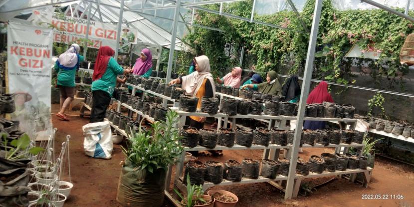 Kelompok Wanita Tani lakukan kerja bakti di Kebun Gizi Lansia.