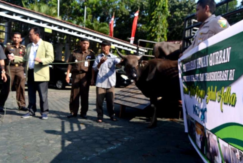 Kemendes PDTT menyerahkan tujuh ekor sapi kurban yang akan dipotong pada Hari Raya Idul Adha 1439 di Bengkulu. 