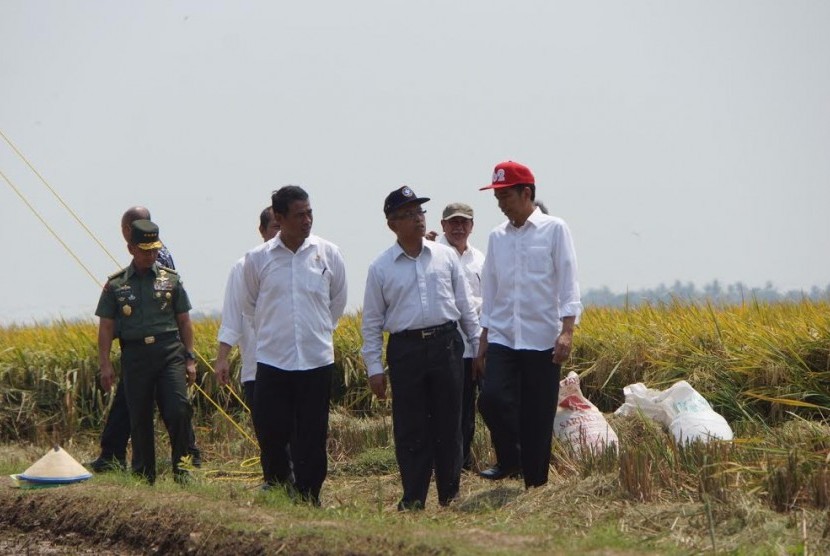 Kementan melakukan bermacam strategi untuk kedaulatan pangan.