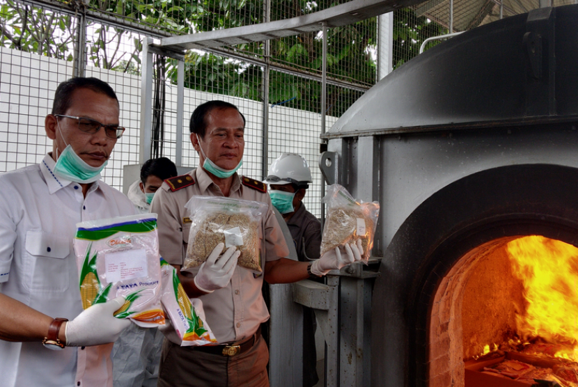 Kementan memusnahkan enam ton bibit jagung dan padi mengandung hama berbahaya.