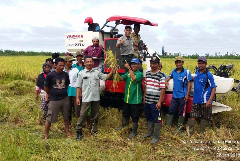 Petani di Merauke. Perusahaan Umum (Perum) Bulog Kantor Wilayah Papua dan Papua Barat mengatakan realisasi serapan beras masih sangat rendah. 