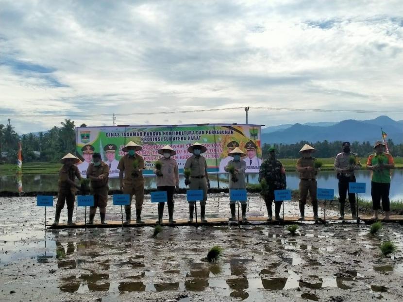 Kementerian Pertanian dan Provinsi Sumatra Barat melakukan Gerakan Percepatan Olah Tanah dan Tanam.
